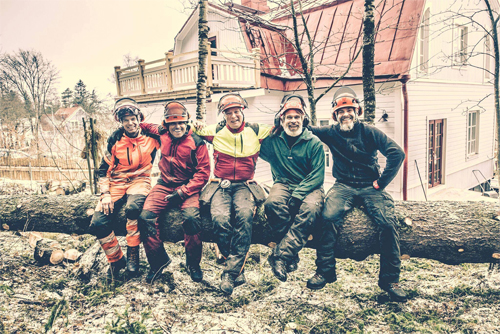 ArboristikiltakuvaRI.jpg